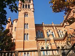 -上海佘山国家森林公园西佘山园