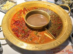 -哥老官重庆美蛙鱼头(日月光店)