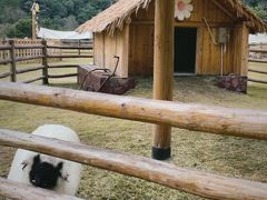 -龙岩森林水乡景区