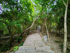 -紫金山山顶公园
