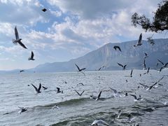 -滇池海埂公园