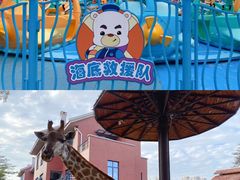 -灵玲国际马戏城