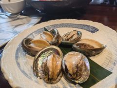 新鲜鲍鱼-一本魅·日式料理