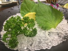 -晓寿司·精致料理(绿地店)