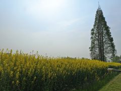 -中国天府农业博览园