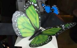 android_upload_pic-FC·fashion creativity