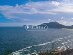 -广东惠东海龟国家级自然保护区