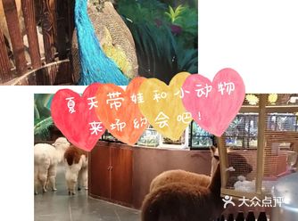 夏天带娃去和小动物来场约会吧！团购很优惠！