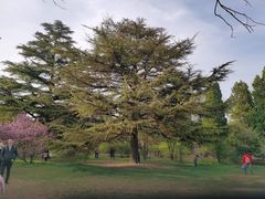 -国家植物园南园