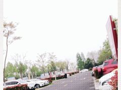 -合肥滨湖国家森林公园