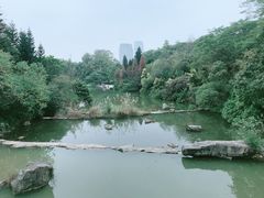-云溪植物园