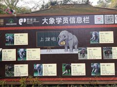 -野象谷景区