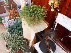 -肥朵食堂(带梦胡同店)