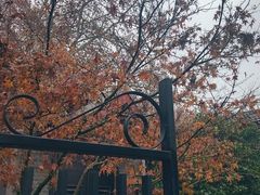 -T80科技文化国际社区-停车场