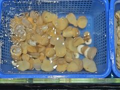 -宏运厨房·海鲜青岛菜·生日宴(城市阳台店)