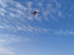 -金谷域澳洲庄园