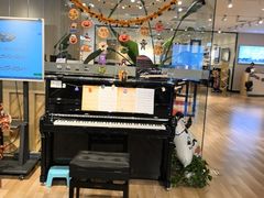 -柏斯音乐艺术中心·钢琴·吉他(上音店)