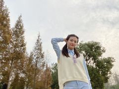 -合肥滨湖国家森林公园