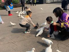 -南湖梦幻岛