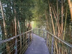 -三利音·浦之舟(滨江大道店)