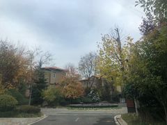 -芭东小镇温泉