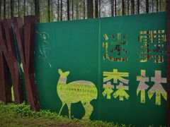 -黄海国家森林公园