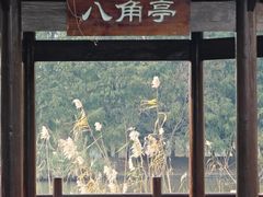 -苏州太湖国家湿地公园