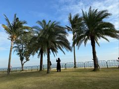 -野狸岛