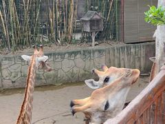 -长鹿旅游休博园