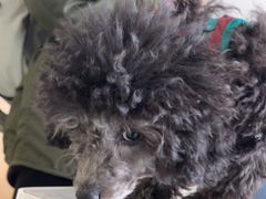 -宠颐生·恒爱宠物医院(静海店)