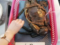 -龙海鲜螃蟹王(宏茂桥店)