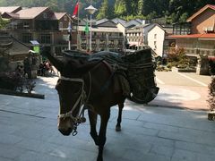 -藏龙百瀑风景区