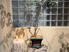 -长禧家.珑厨(东风东路店)