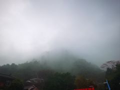 -姑婆山森林酒店