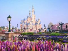 -上海迪士尼度假区