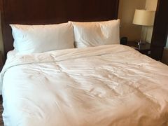 -上海龙之梦万丽酒店