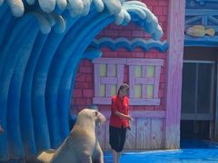 -华夏文旅海洋公园