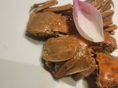 -木守西溪溪隐餐厅
