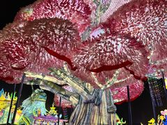 -淄博花灯齐彩城