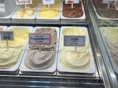 -Dooley's Premium Ice Cream