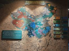 -红山森林动物园