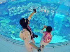 -迪拜水族馆及水下动物园