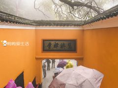-普陀山风景区-佛顶山