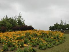 -滆湖低碳生态公园