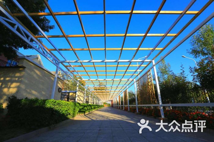 丰台南宫97号温泉别墅私汤庭院图片 - 第187张