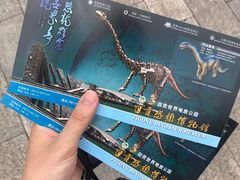 -自贡恐龙博物馆