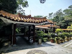 -深圳仙湖植物园