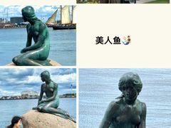 -美人鱼