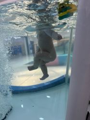 -海豚啵啵体智能游泳馆(惠山万达广场店)