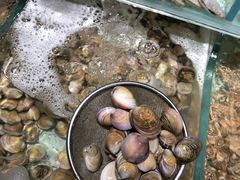 -盒马鲜生(岭南新世界店)